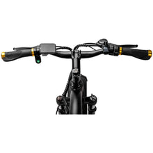 Load image into Gallery viewer, NAKTO Cruiser 2 Fat Tire 26" Electric Bike - 750 Watt, 48V - electricbyke.com