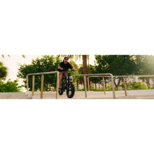 Load image into Gallery viewer, FREEGO SHOTGUN PRIME F2 Plus & F2 Pro Electric Cargo E-BIke - 1080 Wh, 48V or 60V - electricbyke.com