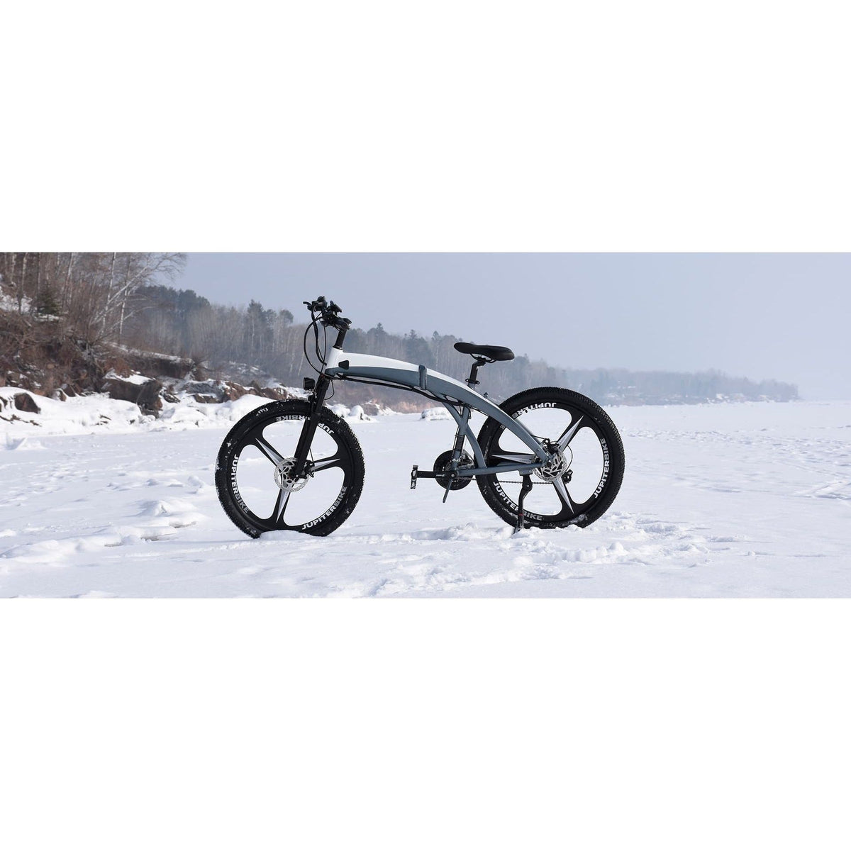 Rich bit top 880 electric online bike