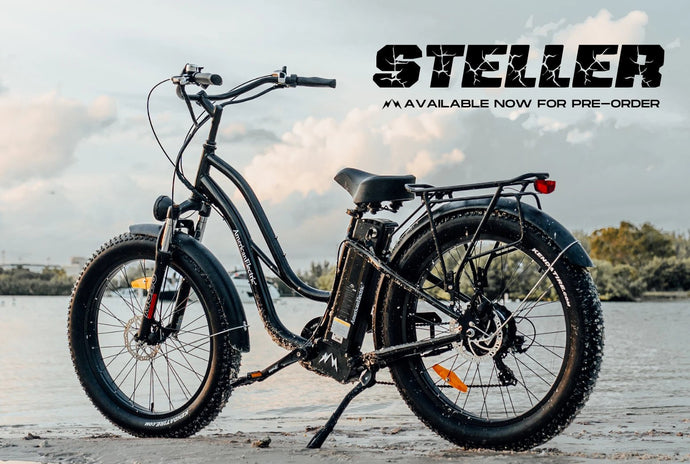 Check out this Spring Arrival! The American-Electric Steller Fat Tire Cruiser!