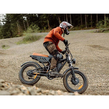 Load image into Gallery viewer, FREEGO NACHBIKE Swift S1 Motorcycle Electric Bike