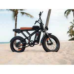 FREEGO SHOTGUN PRIME F2 Plus & F2 Pro Electric Cargo E-BIke - 1080 Wh, 48V or 60V