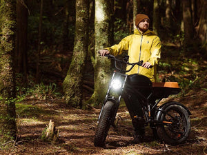 FREEGO F3 Pro Max Dual Motor/Battery Electric Bike - 750 Watt x 2 (nominal), 48V, 55Ah