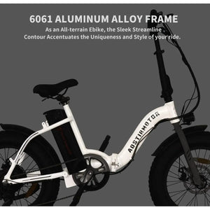 AOSTIRMOTOR G20 Low Step, Fat Tire E-Bike - 500 Watt. 36V - electricbyke.com