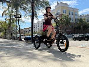 EUNORAU One-Trike 2.0 - Folding  - 500W, 48V