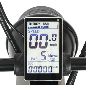 TRACER LOITER 26" Cruiser E-Bike - 800 Watt, 48V - electricbyke.com