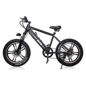 NAKTO, Discovery, Fat Tire, Electric Bike,  20"  - 300 Watt, 48V - electricbyke.com