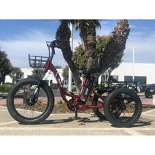 Load image into Gallery viewer, EMOJO, Electric Bike, CADDY PRO, Electric Fat Tire Tricycle - 500 Watt, 48 V - electricbyke.com