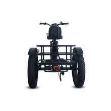 Load image into Gallery viewer, EMOJO, Electric Bike, CADDY PRO, Electric Fat Tire Tricycle - 500 Watt, 48 V - electricbyke.com