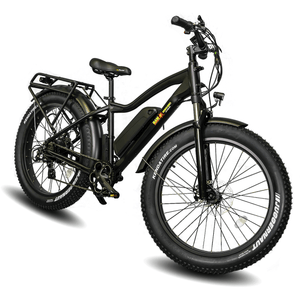 EWheels, BAM EW-Supreme Fat Tire Electric Bike - 750 Watt, 48V - electricbyke.com