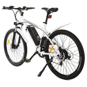 ECOTRIC VORTEX (UL Certified Edition), City Bike - 350 Watt, 36V - electricbyke.com