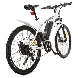ECOTRIC VORTEX (UL Certified Edition), City Bike - 350 Watt, 36V - electricbyke.com