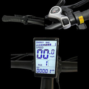 MICARGI MONARCH, Mountain Bike - 350 Watt, 48V - electricbyke.com
