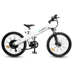 ECOTRIC SEAGULL, Mountain Bike - 1000 Watt, 48V - electricbyke.com