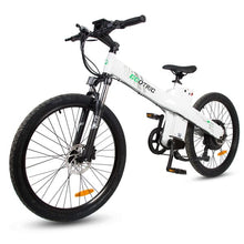 Load image into Gallery viewer, ECOTRIC SEAGULL, Mountain Bike - 1000 Watt, 48V - electricbyke.com
