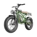 FREEGO SHOTGUN F2 Pro Electric Cargo E-BIke - 1400 Watt, 48V - electricbyke.com