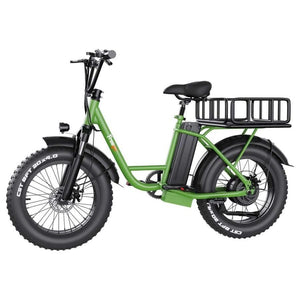 FREEGO GoGreen FB-20X Step-Thru Fat Tire E-Bike - 1200 Watt, 48V - electricbyke.com