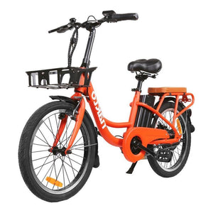 NAKTO Pony, City Cargo Electric Bike, 20" - 250 Watt, 36V - electricbyke.com