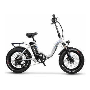 EMOJO, Electric Bike, RAM SS - 750 Watt, 48V - electricbyke.com