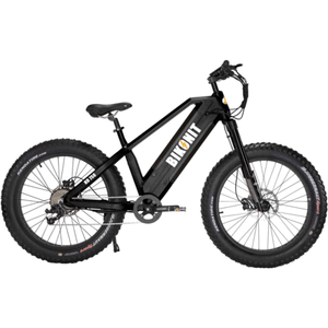 BIKONIT, HD 750, All Terrain Electric Bike - 750 Watt, 48V (15Ah) - electricbyke
