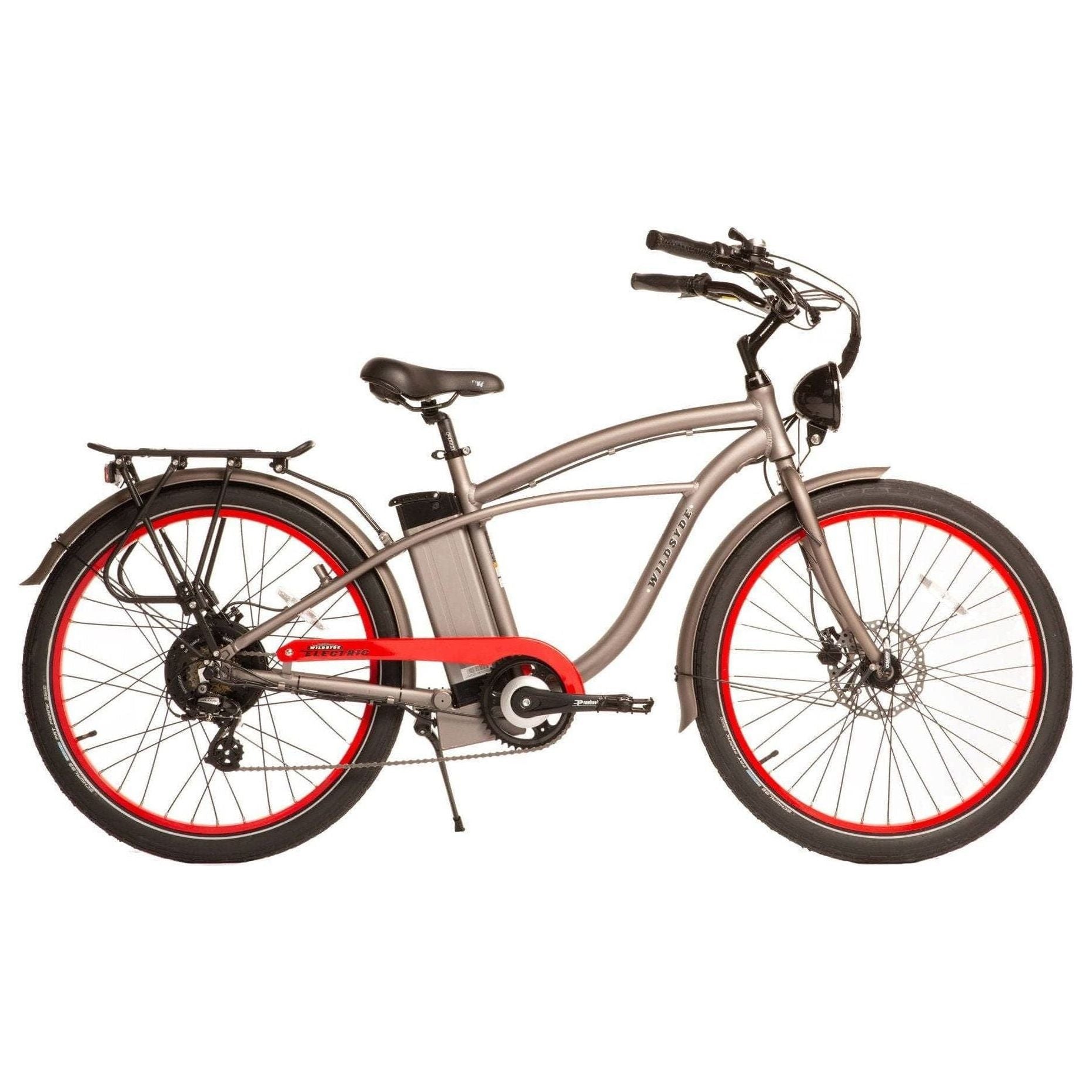 electric bicycle vintage Roam 500W eBike Titanium Grey
