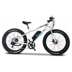 EMOJO, Electric Bike, WILDCAT PRO, Fat Tire Beach/Trail/Street Cruiser - 500 Watt, 48V - electricbyke.com