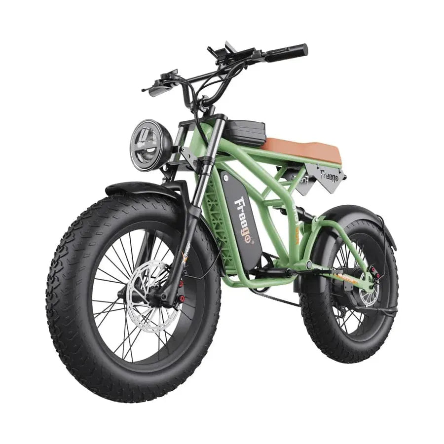 FREEGO F1 Pro Fat Tire Off Road E-Bike - 1400 Watt, 48V - electricbyke.com